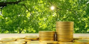 Forêt verte et pièces d'euros illuminées par la lumière.