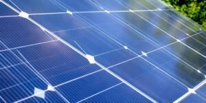 Solar panel with blue cells, surrounded by greenery.