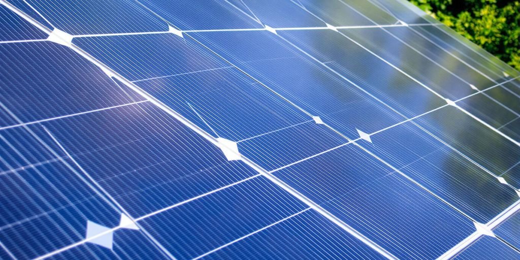 Solar panel with blue cells, surrounded by greenery.