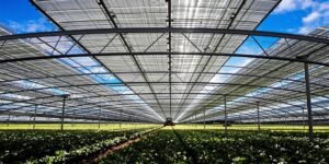 Agricultural shade structure with solar panels