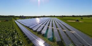 Panneau solaire agricole: Panneaux solaires sur ferme